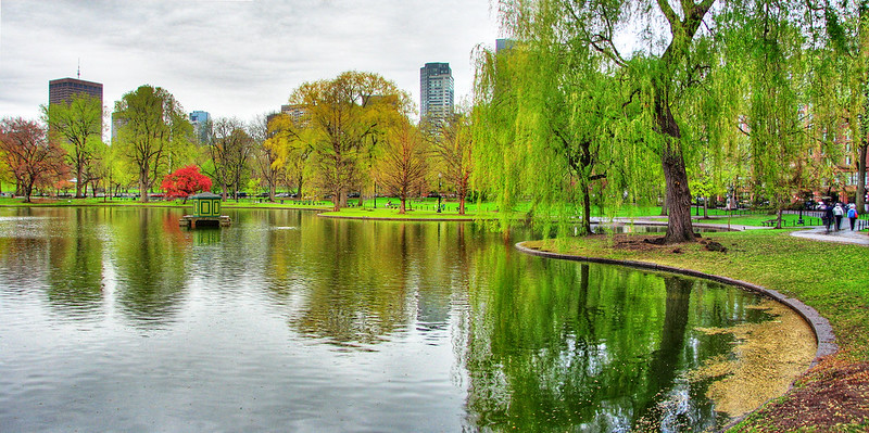 Boston Public Garden lagoon in summer