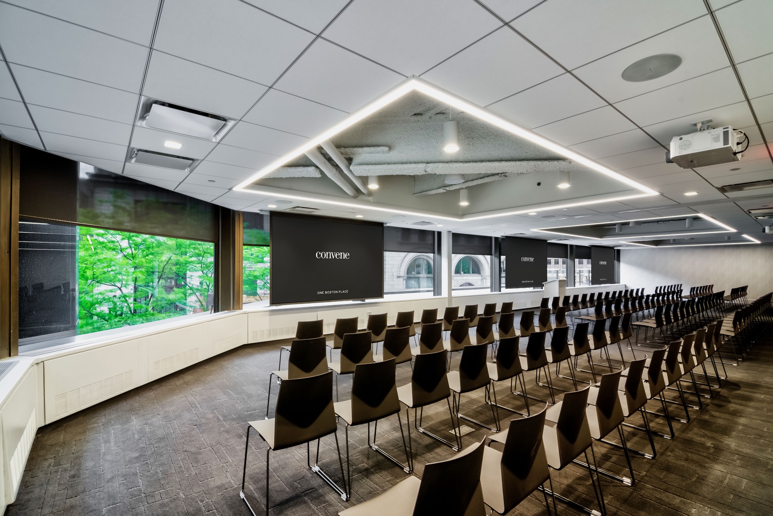 Theater style room with projector screens