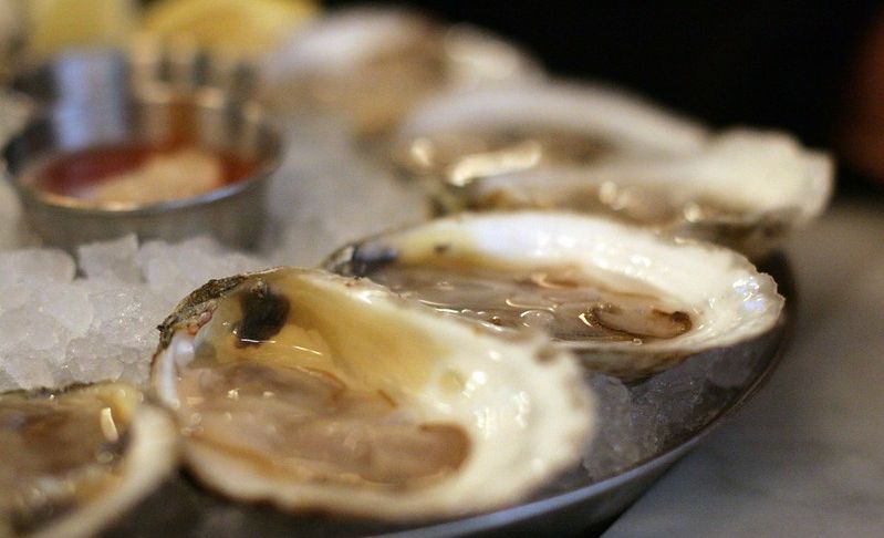 Raw oysters close-up